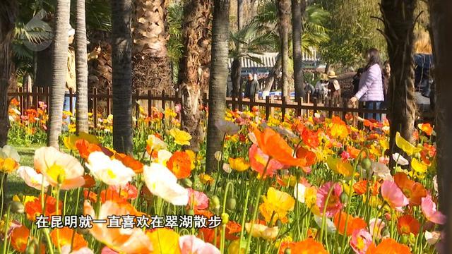 易胜博体育-主场称雄？客场破局？期待！